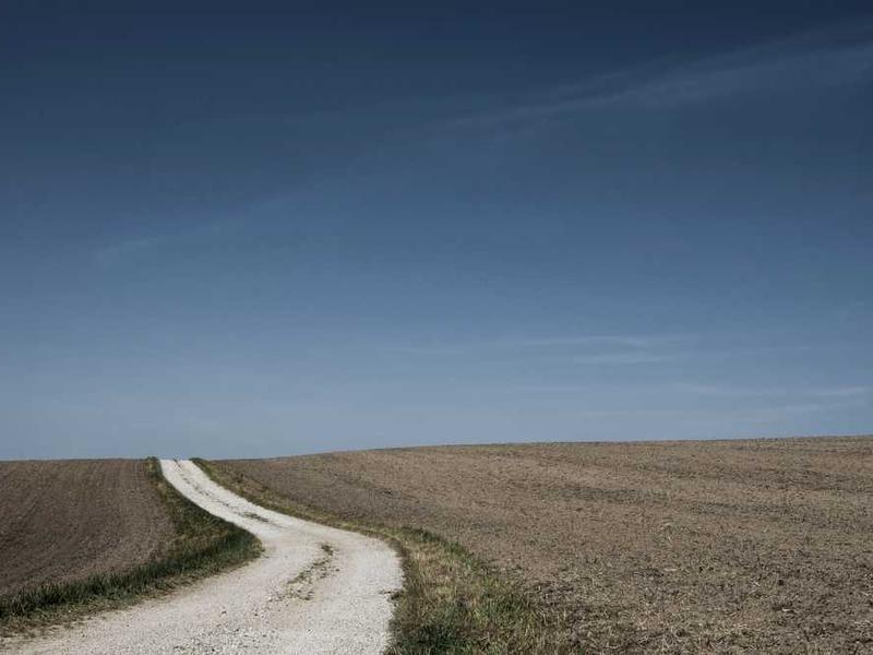 Digital Transformation Drives Media Innovation